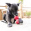 KONG KONG Dog Dental Toy 2