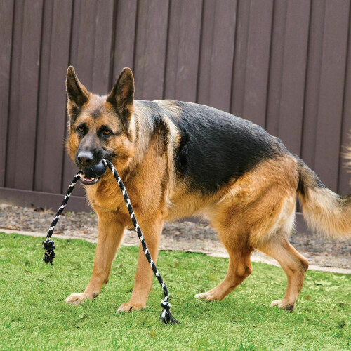 KONG KONG Extreme Rope Dog Toy 2