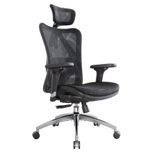 SIHOO Chaise de Bureau Ergonomique pour Ordinateur avec appuie-tête réglable, Dossier et accoudoirs en Maille Noir Mesh Chiar