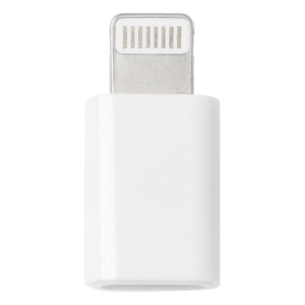 Type C Female To Lightning Male Converter Adapter For iPhone X 5 6 7 8 iPad iPod