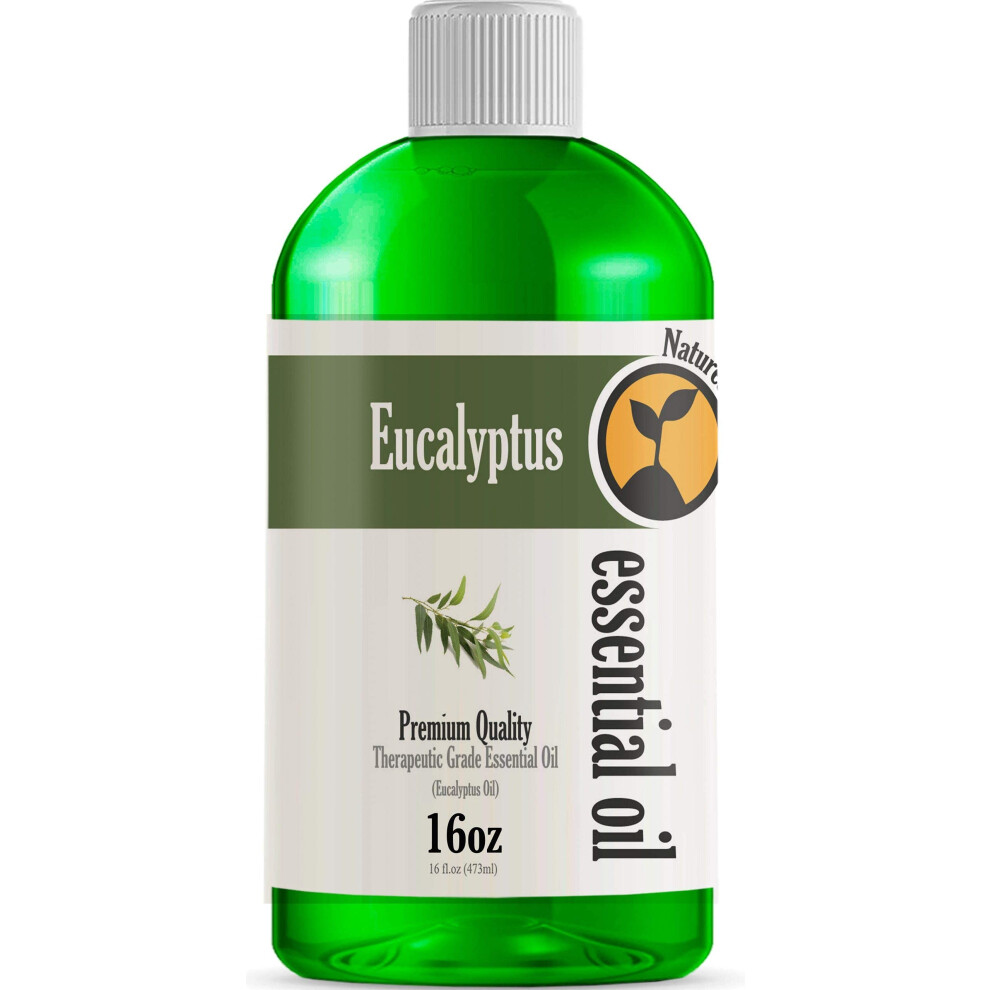 16oz  Bulk Size Eucalyptus Essential Oil 16 Ounce Total  Therapeutic Grade Essential Oil  16 Fl Oz Bottle