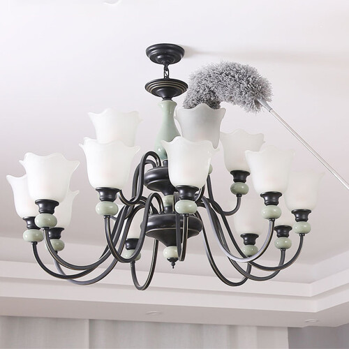 Long Telescopic Feather Duster 1