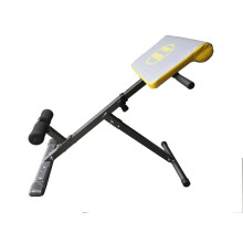 Back Extension Bench Gym Fitness Training