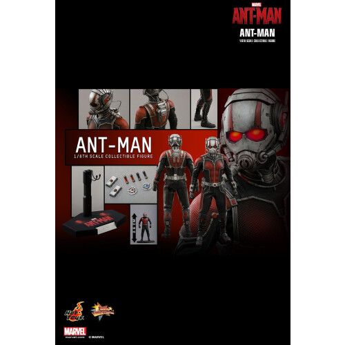 Hot Toys Figur Hot Toys MMS308 - Marvel Comics - Ant-Man - Ant-Man 1