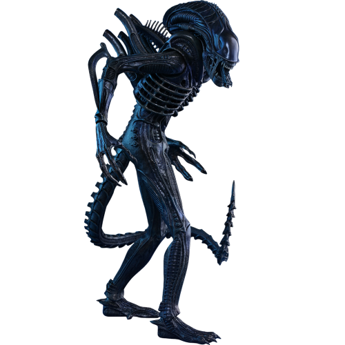 Hot Toys Figur Hot Toys MMS354 - Aliens - Alien Warrior