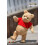 Hot Toys Figur Hot Toys MMS502 - Christopher Robin - Winnie The Pooh 3