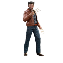 Figurine Hot Toys MMS660D - Marvel Comics -X-Men : Days Of The Future Past - Wolverine 1973 Suit Deluxe Version