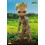 Hot Toys ειδώλιο Hot Toys TMS088 - Marvel Comics - I Am Groot - Groot Standard Version 5