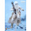 Hot Toys ειδώλιο Hot Toys VGM24 - Star Wars Battlefront - Snowtrooper Deluxe Version 4