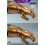 Hot Toys ειδώλιο Hot Toys ACS007 - Marvel Comics - Avengers : Endgame - Infinity Gauntlet 5