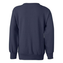 Felpa girocollo Hanes Ecosmart Youth blu navy S