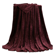 (Wine Red, 50x70cm) Coral Fleece Blankets Super Soft Shaggy Universal Solid-color Fleece Blankets For Sofa