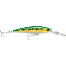 XRap Magnum 15 Gold Green Mackerel