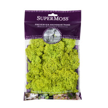 SuperMoss 7 59834 4 21708 Soil, 2 Ounce, Chartreuse