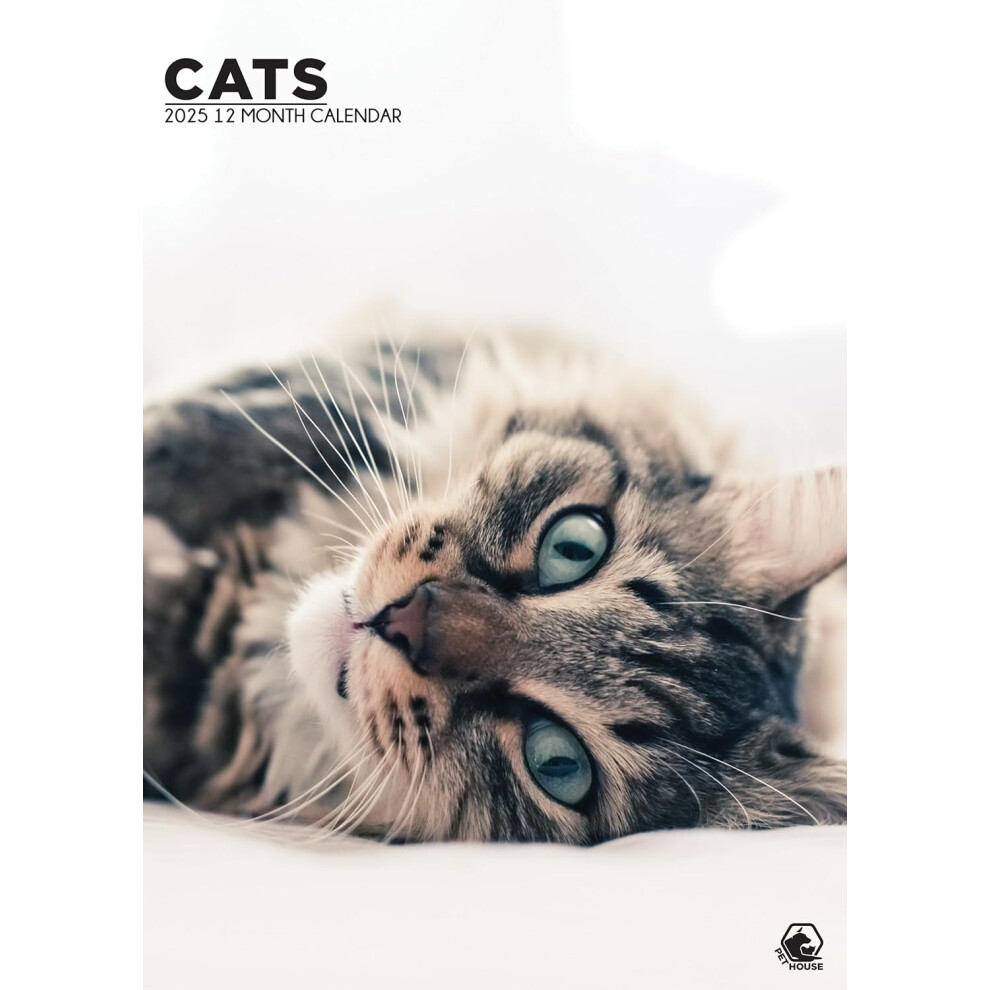 Cats 2025 - A3 Size Wirobound Calendar