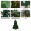 (6FT) Abrihome Artificial Christmas Tree, Metal Stand 5