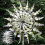 Unique Magical Metal Windmill Outdoor Wind Spinners Courtyard Patio Garden Decor [free Shipping] 3