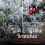 Evre (5ft) EVRE Snow Flock Christmas Tree Pine Cone & Berries 6