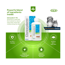 ICF | Clorexyderm Dog Shampoo For Itchy Skin Relief | Anti Itch + Antifungal +