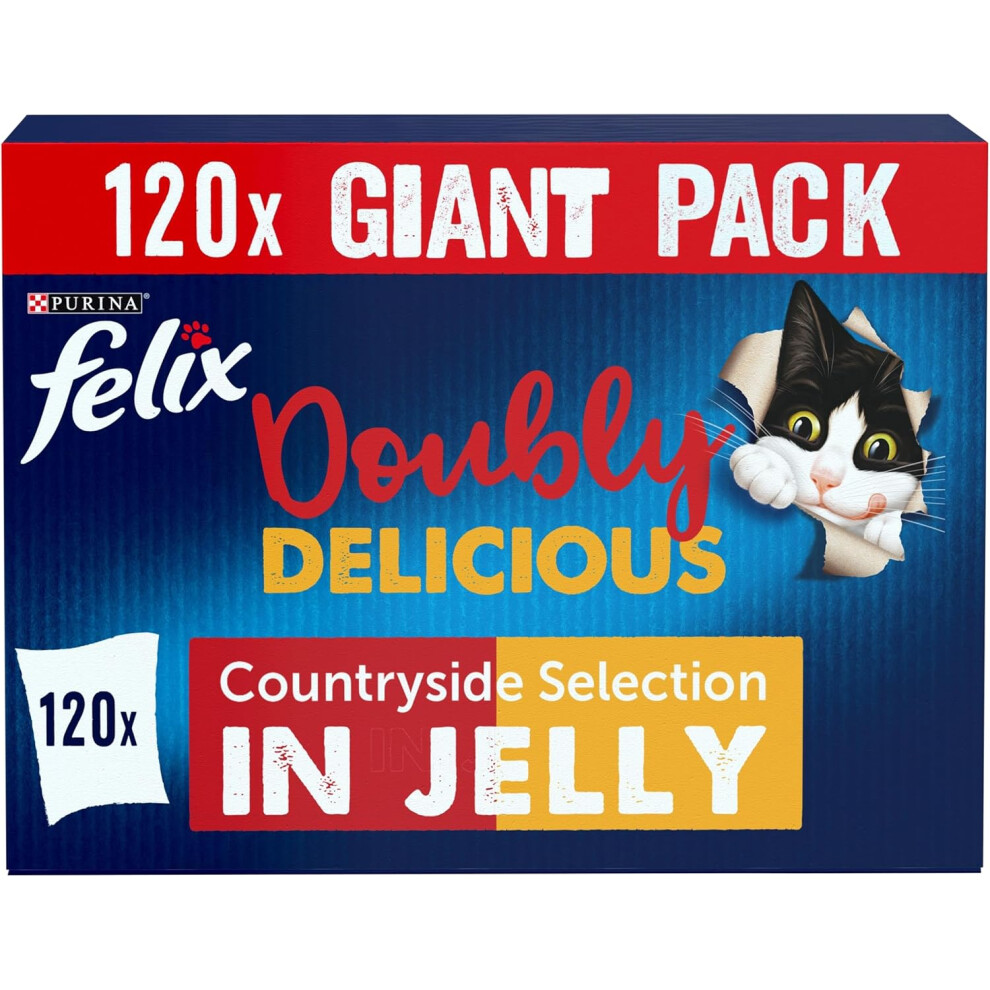 Felix Doubly Delicious Meat Cat Food 120X100g