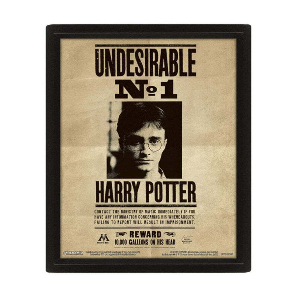 Harry Potter 3D Sirius Poster