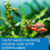 API 800 Test Freshwater Aquarium Water Master Test Kit 2