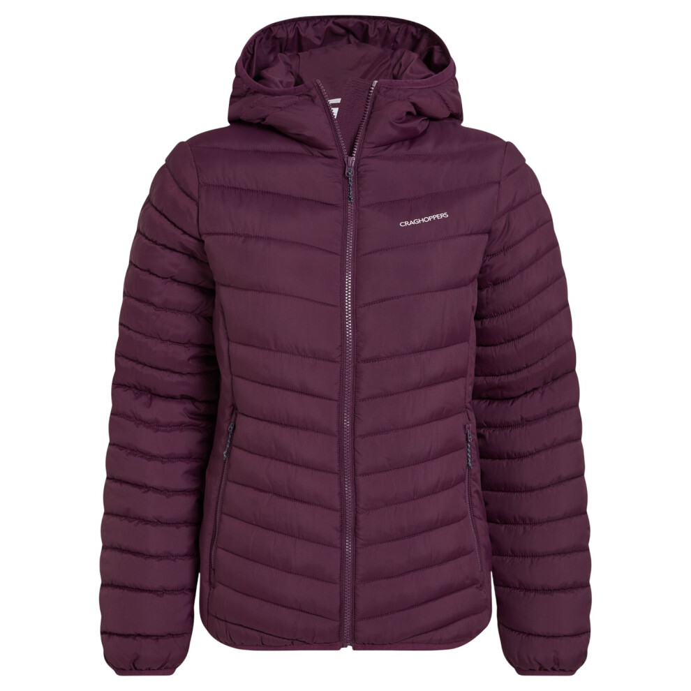 (12 UK, Beet) Craghoppers Womens/Ladies Compresslite VIII Hooded Padded Jacket