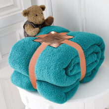 (Double 130x180cm, Teal) Teddy Bear Fleece Throw Ultra Soft Warm Cosy Cuddly