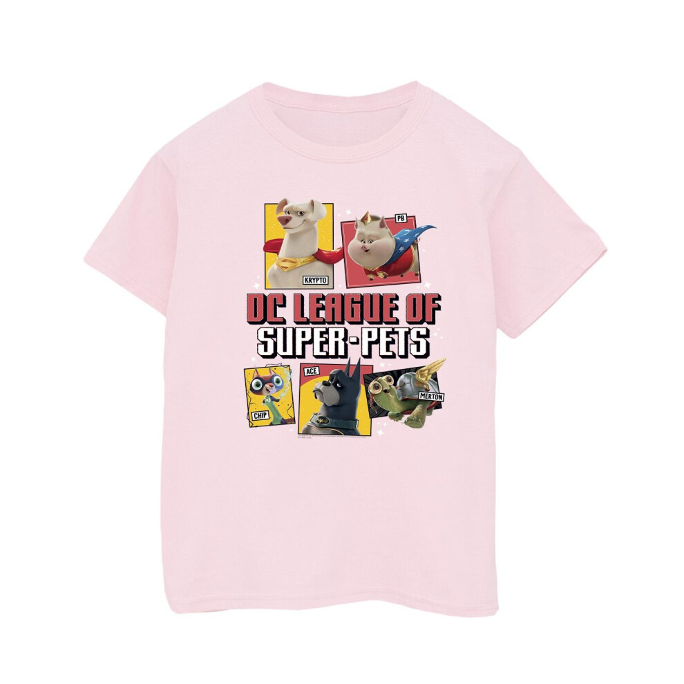 DC League Of Super-Pets Profile T-Shirt