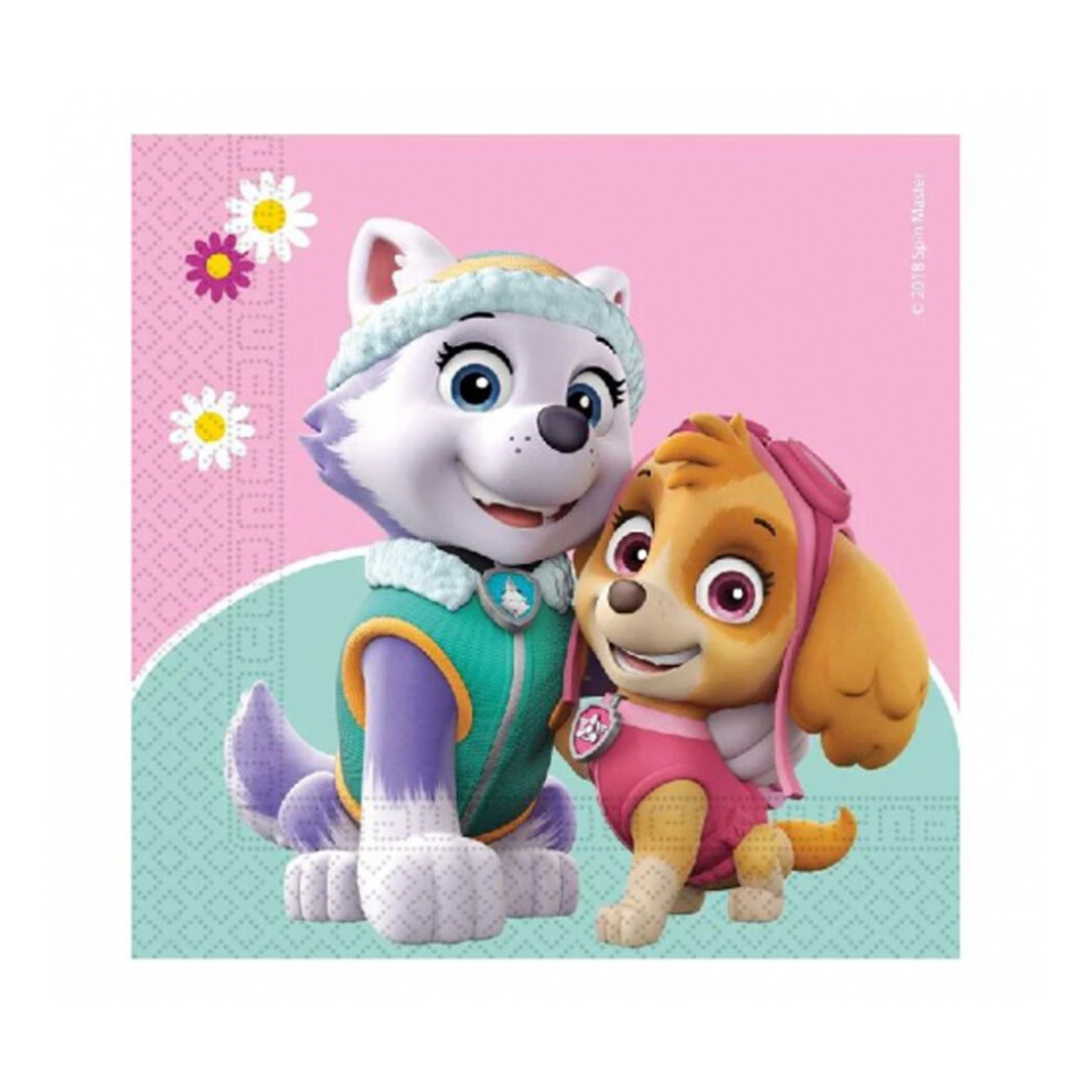 Paw Patrol Paper Skye & Everest Napkins (Pack of 20)