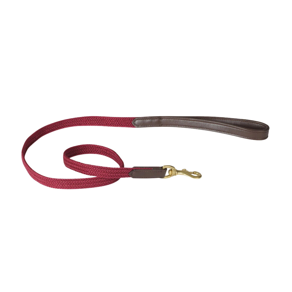 (M, Brown/Maroon) Weatherbeeta Plaited Leather Dog Lead