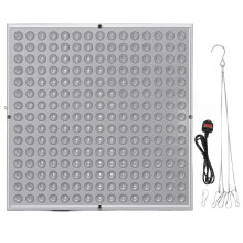 (100-240V 15W, UK Plug) Tanning Lamp 460nm Full Blue Therapy Lamp Self Skin Tanning Light With 225pcs Leds For Face Body