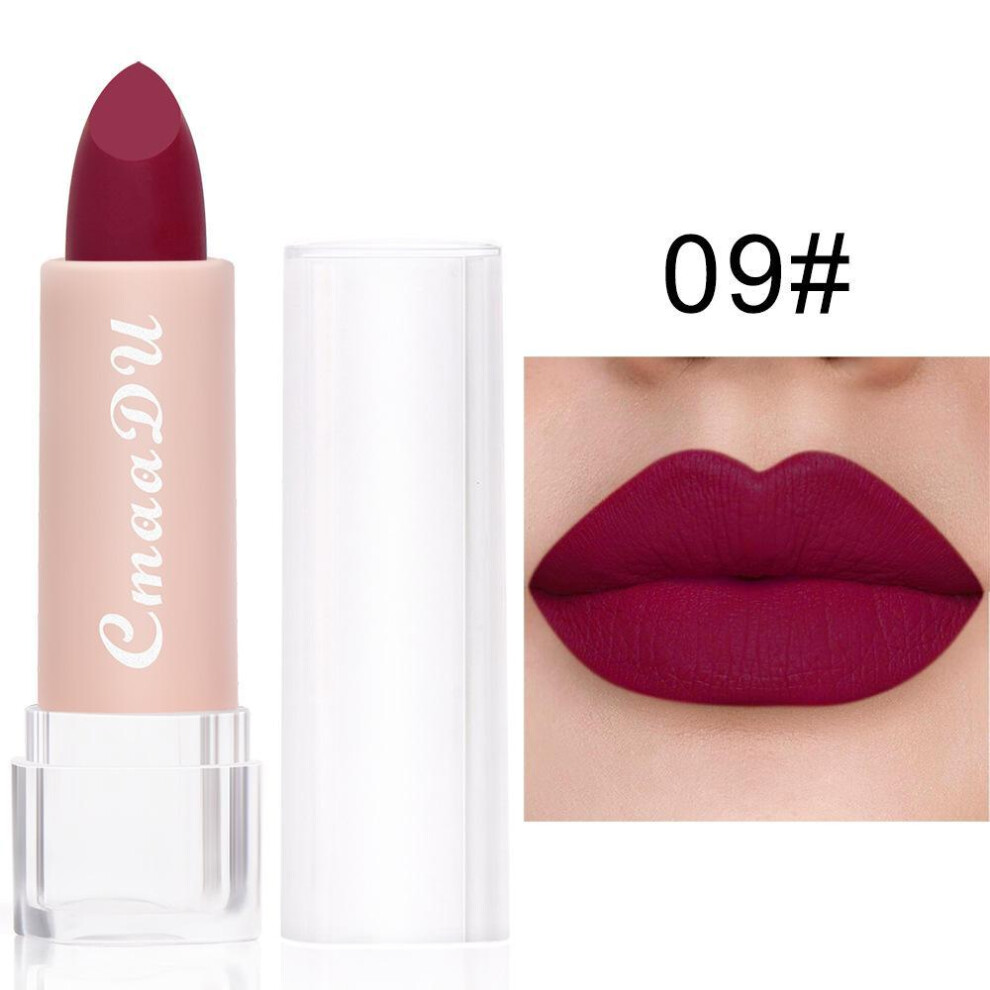 (09) 15 Colors Waterproof Long Lasting Matte Lipsticks