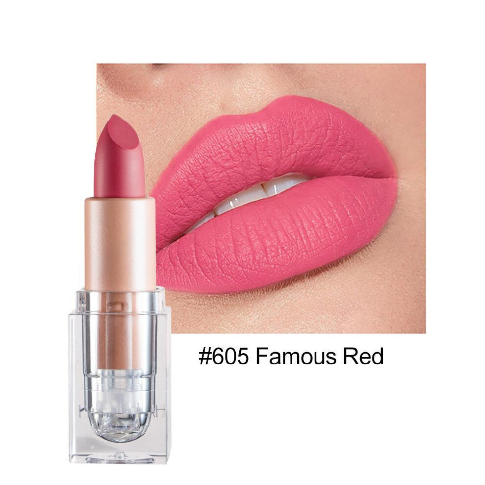 (605) Handaiyan 12 Colors Matte Waterproof Velvet Nude Lipstick Sexy Red Brown Pigments Makeup Long Lasting Profissional