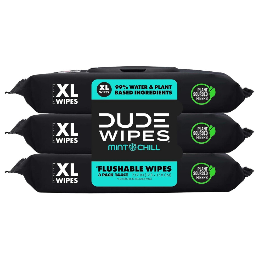 DUDE Wipes  Flushable Wipes  3 Pack  144 Wipes  Mint Chill ExtraLarge Adult Wet Wipes  VitaminE  Aloe  Eucalyptus  Tea Tr