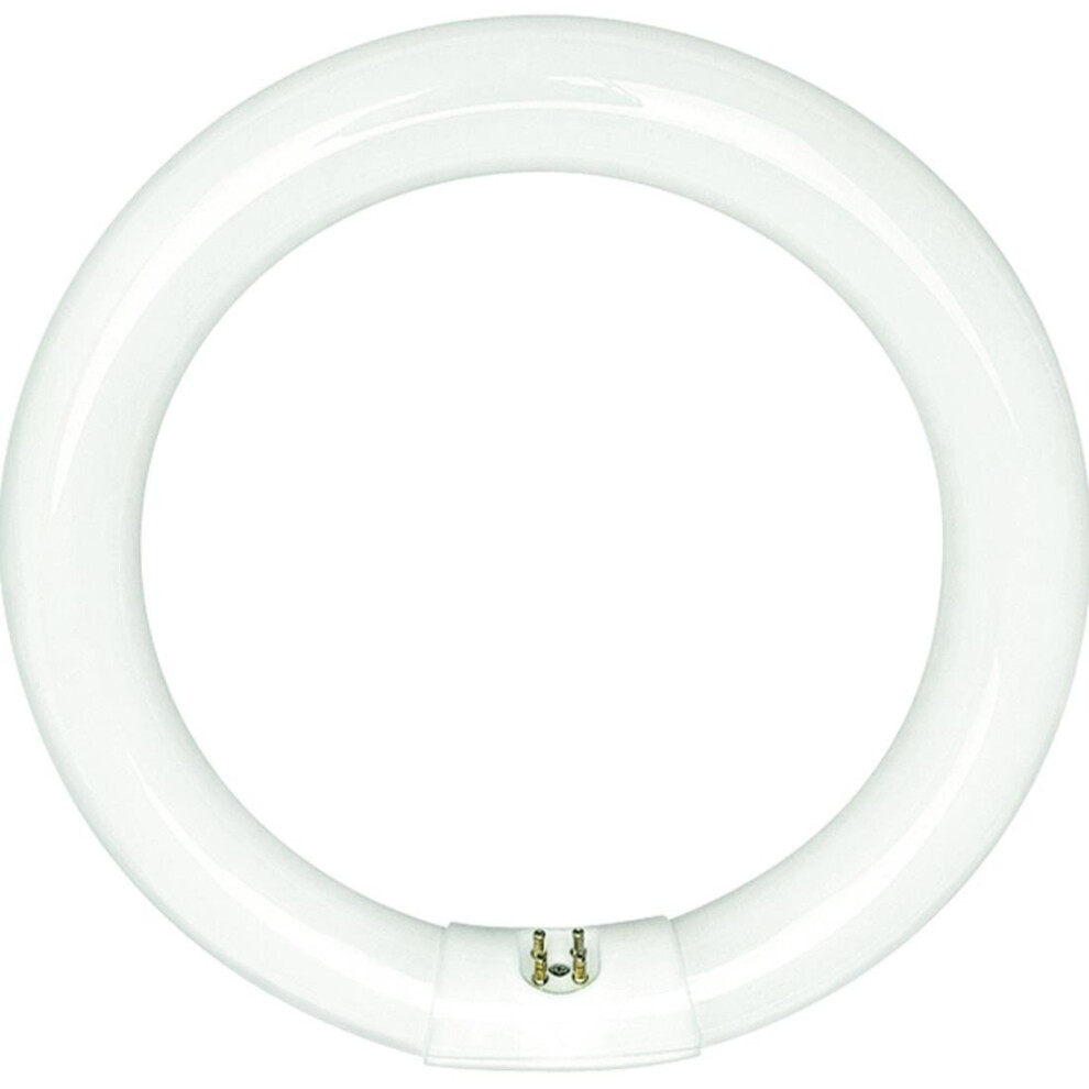 Sylvania 20142  FC12T9CWRS 32 Watt T9 Cool White Circular Fluorescent Light Bulb  12 Diameter