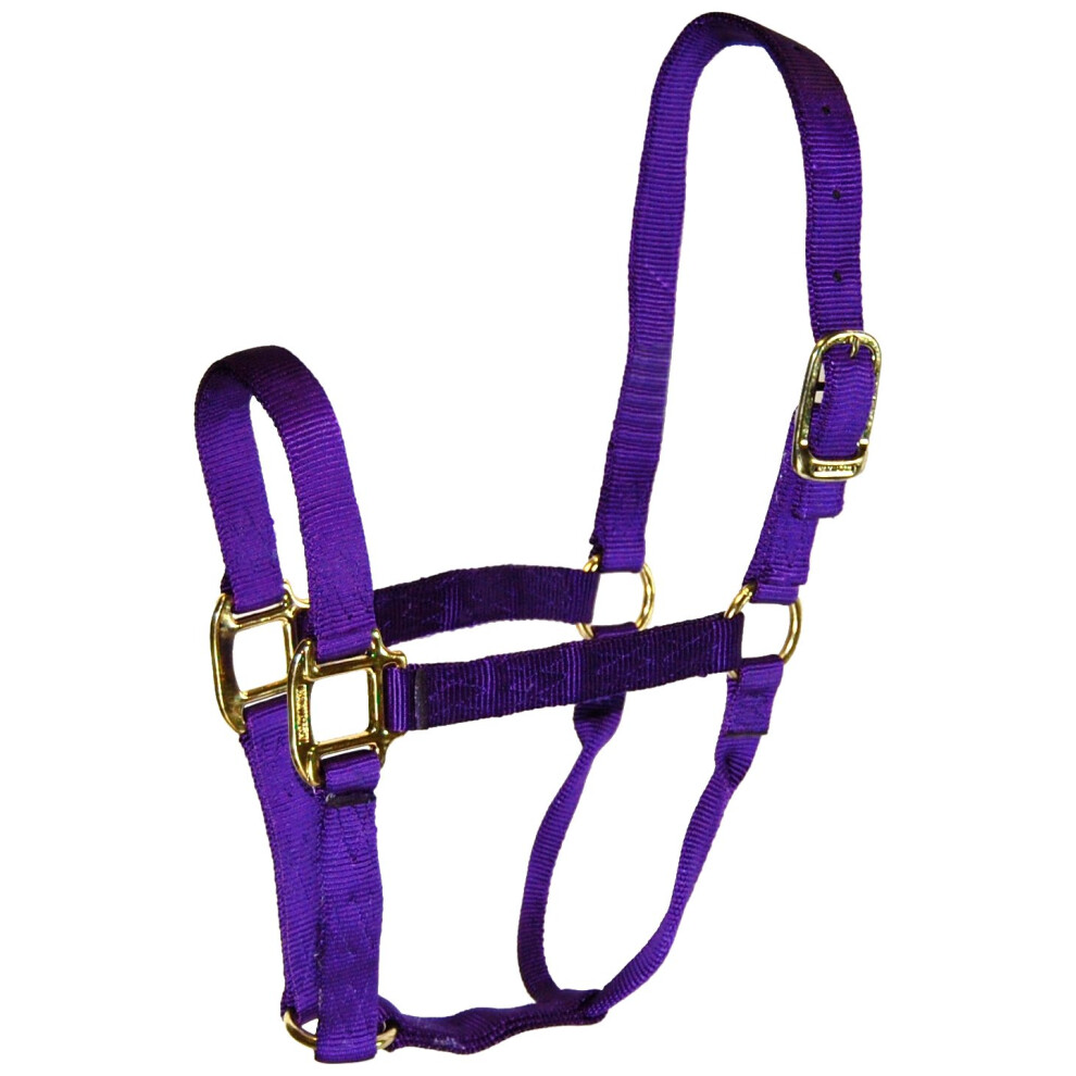 Hamilton 1Inch Nylon Quality Halter for 1100 to 1600Pound Horse  Large  Purple