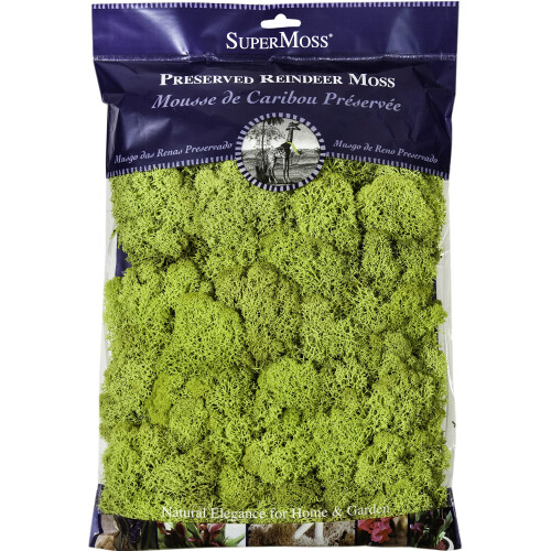 Super Moss 21669 Mousse de Renne Préservée, Chartreuse, 8oz (200 pouces cubes)