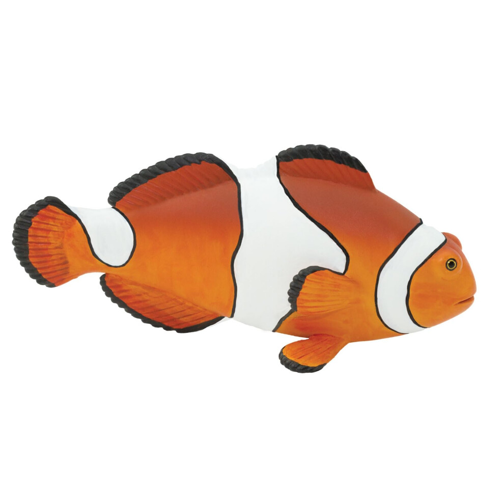 Safari Ltd Clown Anemonefish Figurine  Detailed 475 Plastic Model Figure  Fun Educational Play Toy for Boys  Girls  Kids