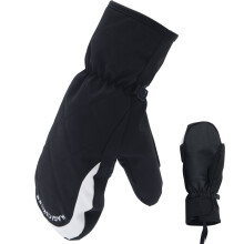 (xL, Purple) Ski Gloves Women Warm Winter Waterproof Skiing Snowboard Gloves Snowmobile