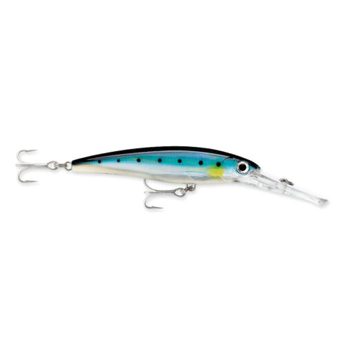 Rapala XRap Magnums  XRap 20  Size 55  Blue Sardine