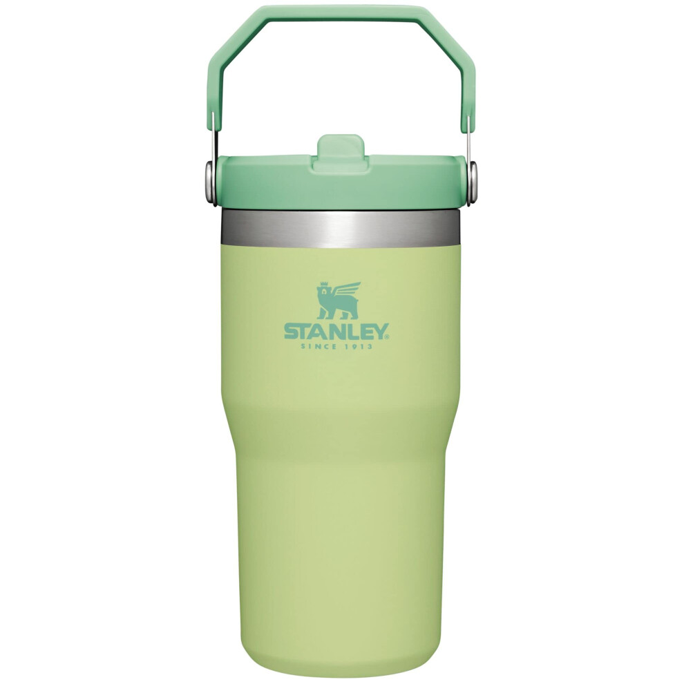 Stanley IceFlow Stainless Steel Tumbler  Vacuum Insulated Water Bottle for Home  Office or Car Reusable Cup with Straw Leak Res