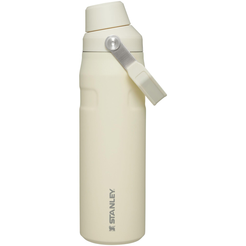 Stanley IceFlow Fast Flow Water Bottle 24 OZ  Angled Spout Lid  Lightweight  Leakproof for Travel  Gym  Insulated Stainless