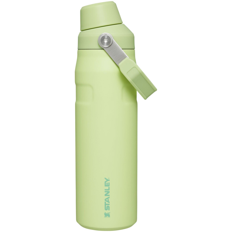 Stanley IceFlow Fast Flow Water Bottle 24 OZ  Angled Spout Lid  Lightweight  Leakproof for Travel  Gym  Insulated Stainless