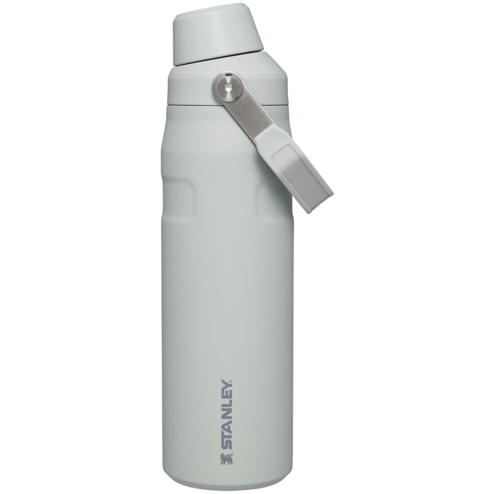 Stanley IceFlow Fast Flow Water Bottle 24 OZ  Angled Spout Lid  Lightweight  Leakproof for Travel  Gym  Insulated Stainless