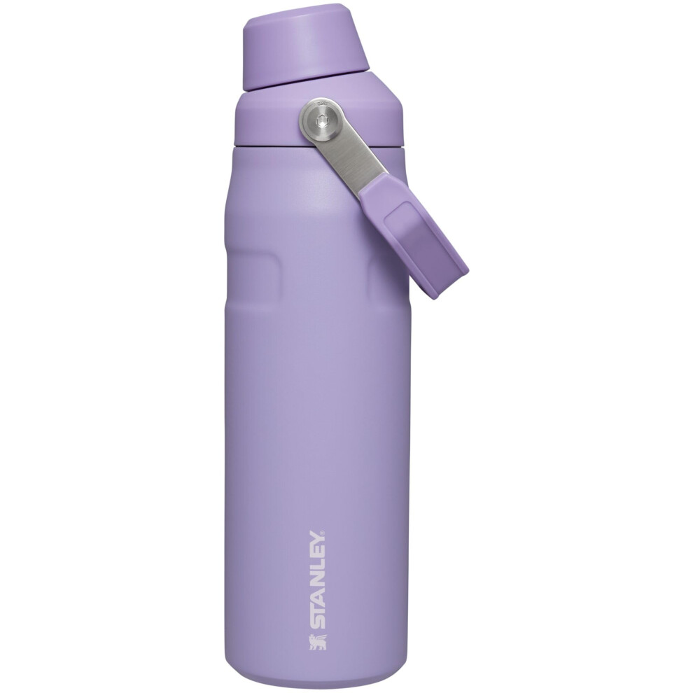 Stanley IceFlow Fast Flow Water Bottle 24 OZ  Angled Spout Lid  Lightweight  Leakproof for Travel  Gym  Insulated Stainless