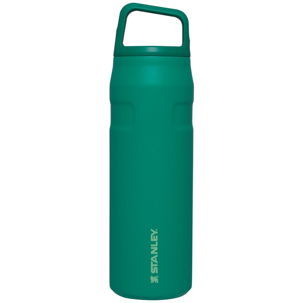 Stanley IceFlow Cap and Carry Water Bottle 24 OZ  Wide Mouth Twist Lid  Lightweight  Leakproof for Travel  Gym  Insulated