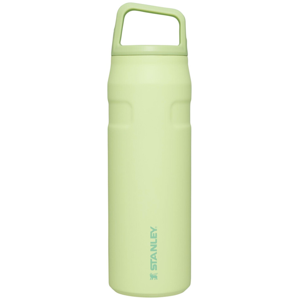 Stanley IceFlow Cap and Carry Water Bottle 24 OZ  Wide Mouth Twist Lid  Lightweight  Leakproof for Travel  Gym  Insulated