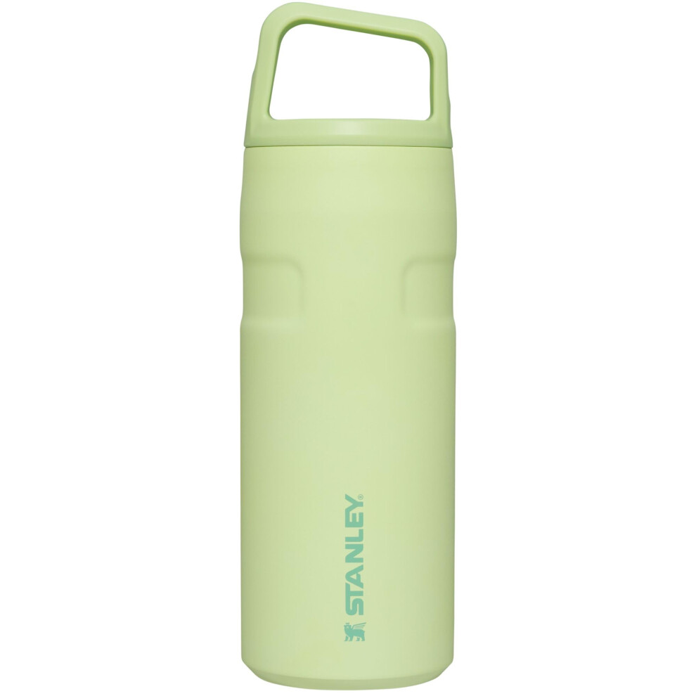 Stanley IceFlow Cap and Carry Water Bottle 16 OZ  Wide Mouth Twist Lid  Lightweight  Leakproof for Travel  Gym  Insulated