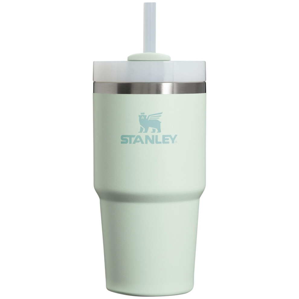 Stanley Quencher H20 FlowState Stainless Steel Vacuum Insulated Tumbler with Lid and Straw for Water  Iced Tea or Coffee  Smoot